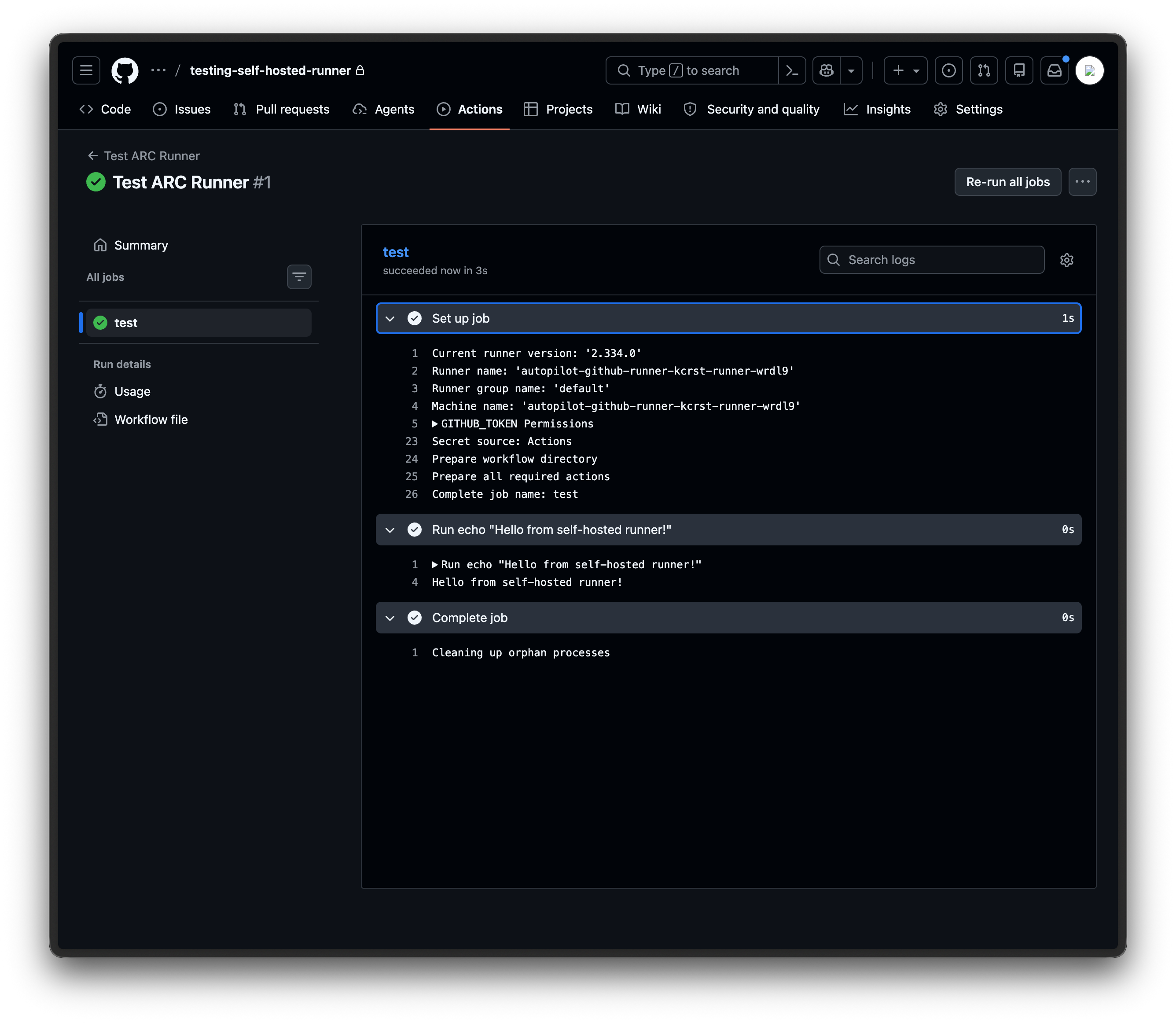 Successful Workflow Run